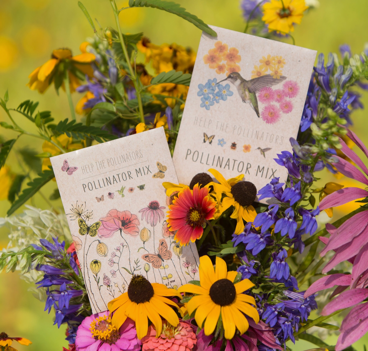 Wildflower Seed Packet Mix